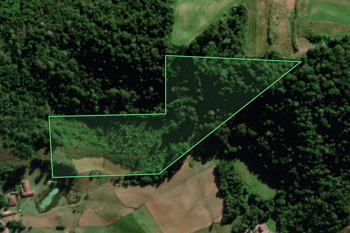 Imagem de satélite do imóvel rural em Aurora (SC), com o contorno declarado no CAR desenhado por cima.