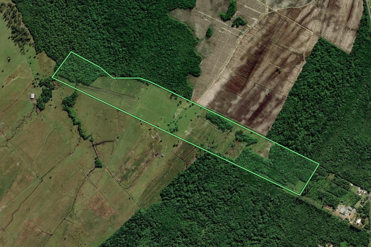 Imagem de satélite do imóvel rural em Balneário Barra do Sul (SC), com o contorno declarado no CAR desenhado por cima.