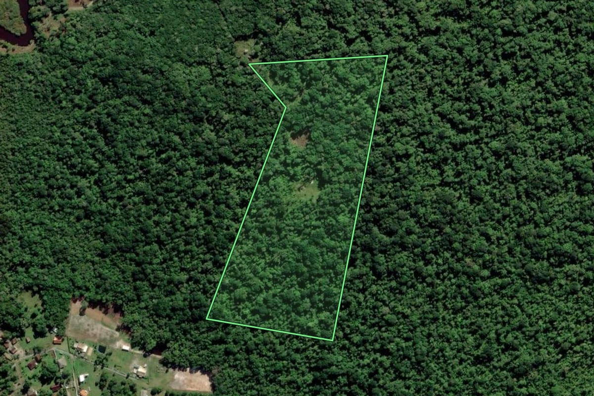 Imagem de satélite do imóvel rural em Balneário Barra do Sul (SC), com o contorno declarado no CAR desenhado por cima.