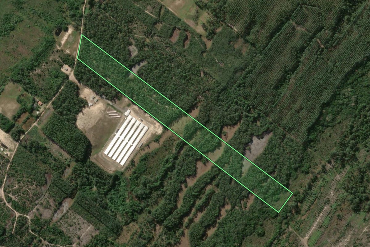 Imagem de satélite do imóvel rural em Balneário Gaivota (SC), com o contorno declarado no CAR desenhado por cima.