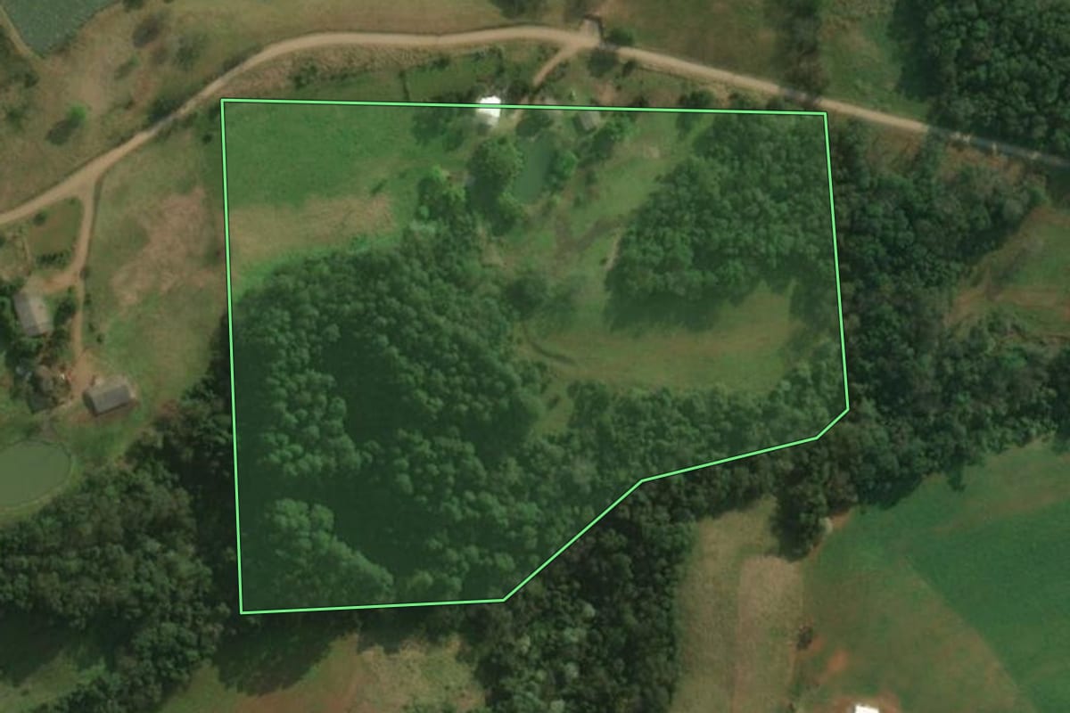 Imagem de satélite do imóvel rural em Bandeirante (SC), com o contorno declarado no CAR desenhado por cima.