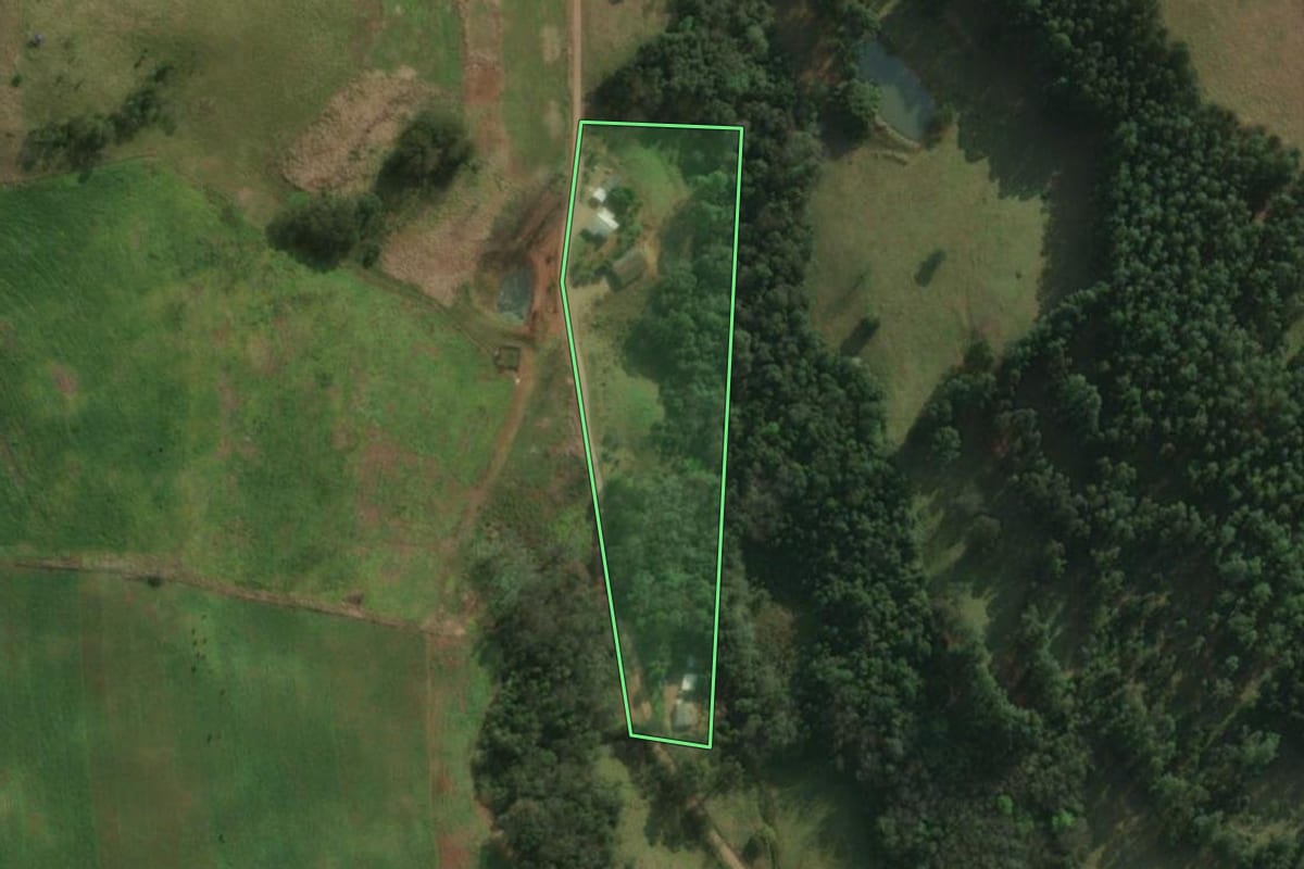Imagem de satélite do imóvel rural em Bandeirante (SC), com o contorno declarado no CAR desenhado por cima.