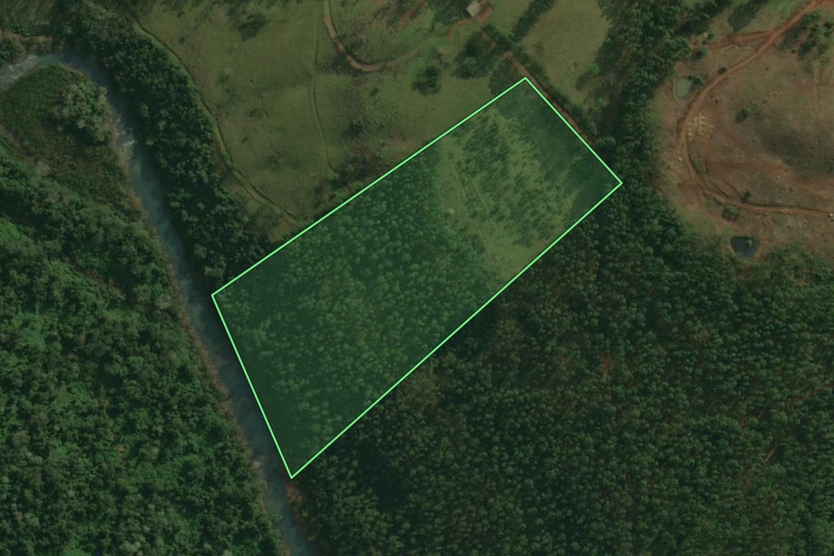 Imagem de satélite do imóvel rural em Bandeirante (SC), com o contorno declarado no CAR desenhado por cima.