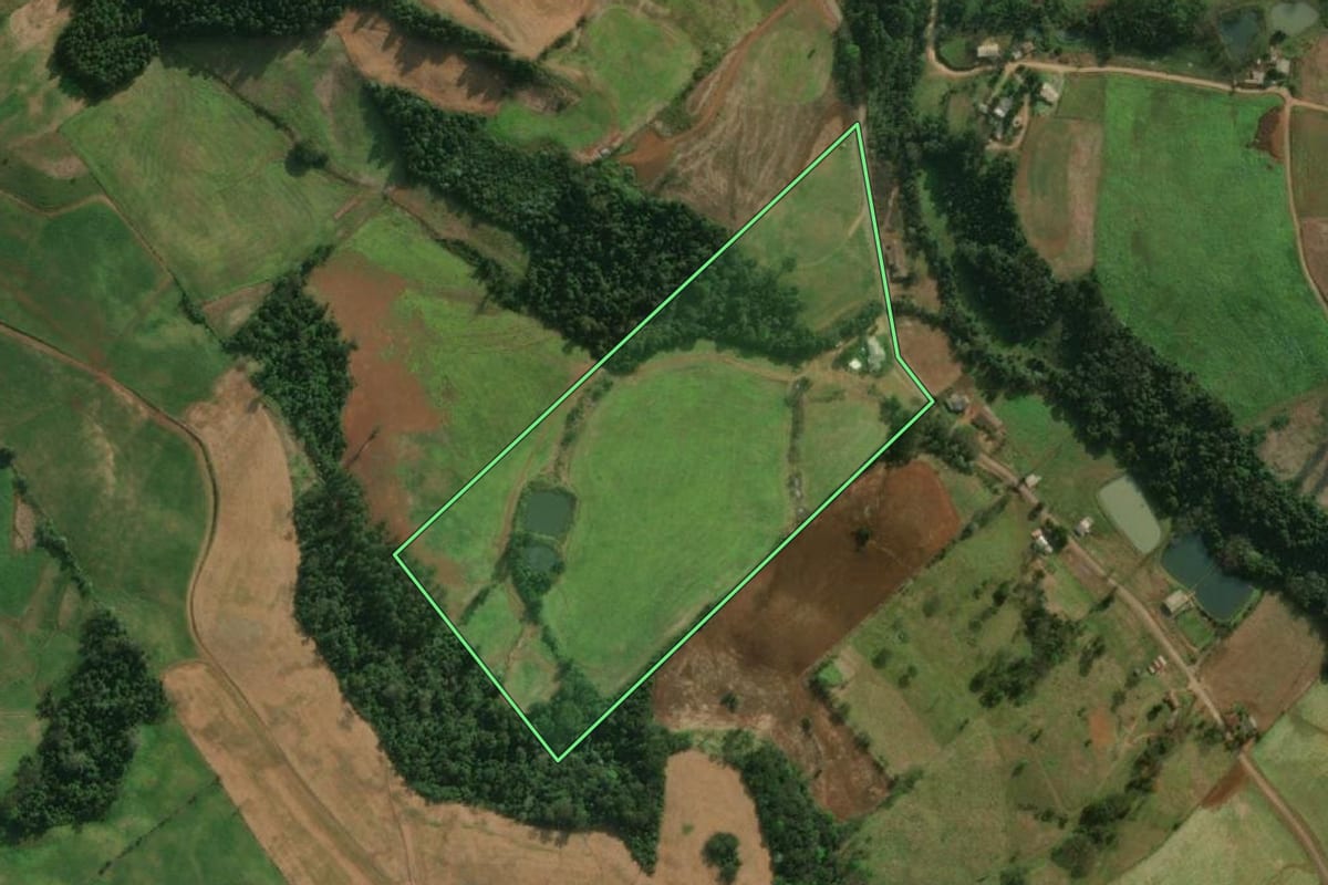 Imagem de satélite do imóvel rural em Bandeirante (SC), com o contorno declarado no CAR desenhado por cima.
