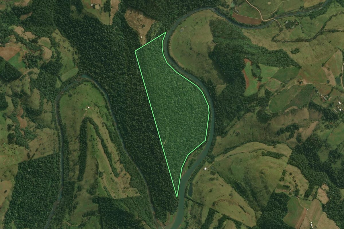 Imagem de satélite do imóvel rural em Bandeirante (SC), com o contorno declarado no CAR desenhado por cima.