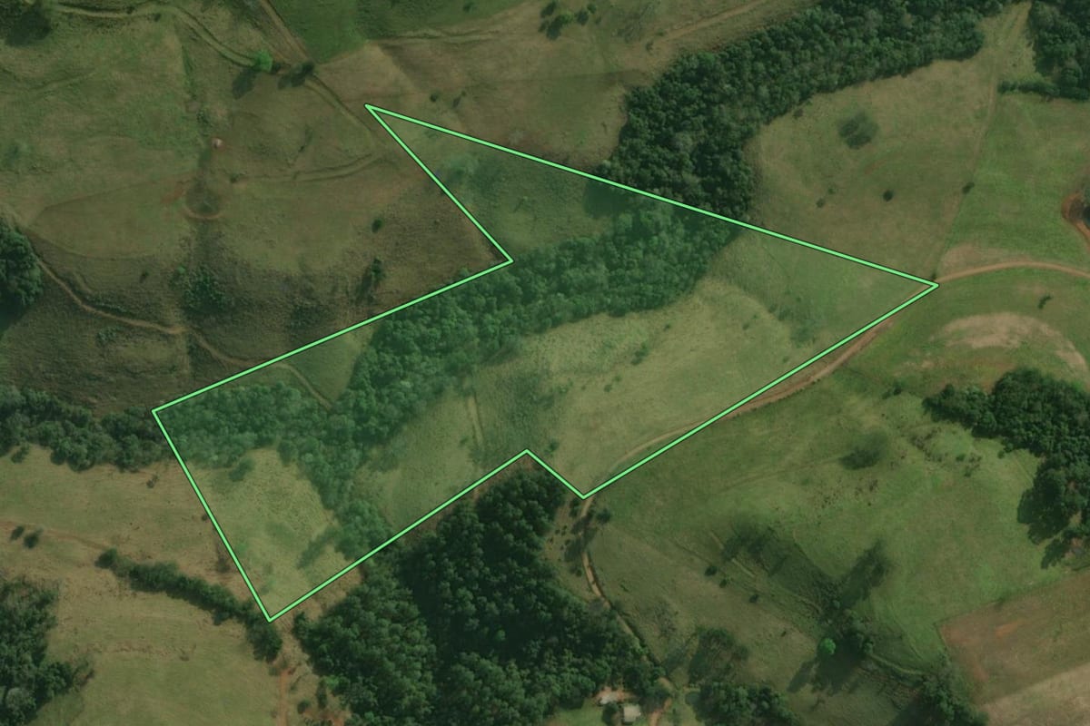 Imagem de satélite do imóvel rural em Bandeirante (SC), com o contorno declarado no CAR desenhado por cima.