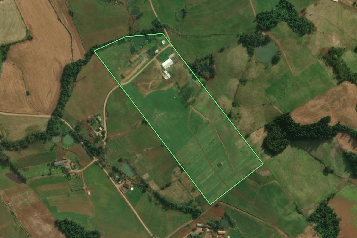 Imagem de satélite do imóvel rural em Bandeirante (SC), com o contorno declarado no CAR desenhado por cima.