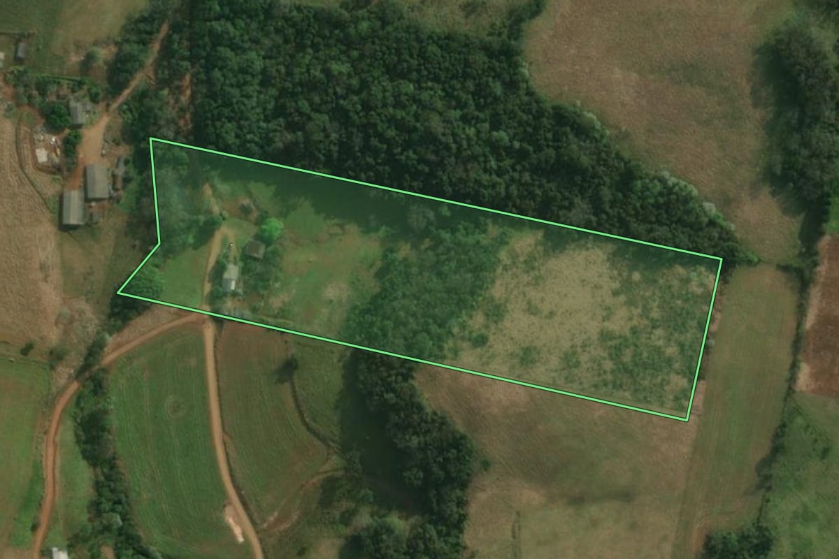 Imagem de satélite do imóvel rural em Bandeirante (SC), com o contorno declarado no CAR desenhado por cima.