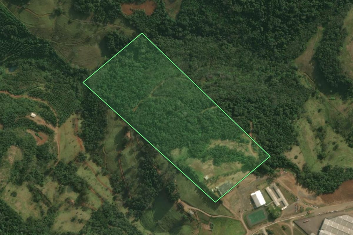 Imagem de satélite do imóvel rural em Bandeirante (SC), com o contorno declarado no CAR desenhado por cima.