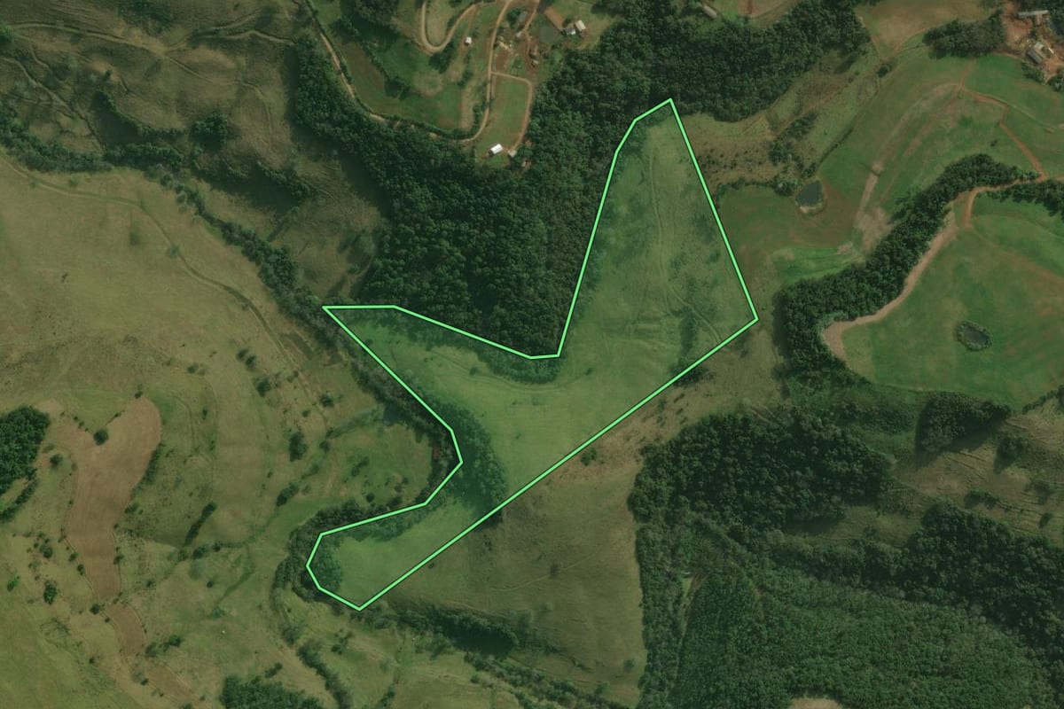 Imagem de satélite do imóvel rural em Bandeirante (SC), com o contorno declarado no CAR desenhado por cima.