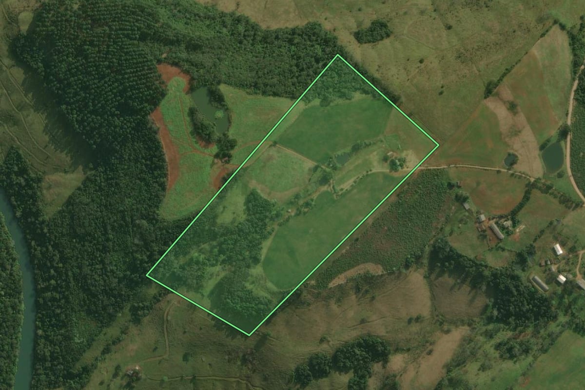Imagem de satélite do imóvel rural em Bandeirante (SC), com o contorno declarado no CAR desenhado por cima.