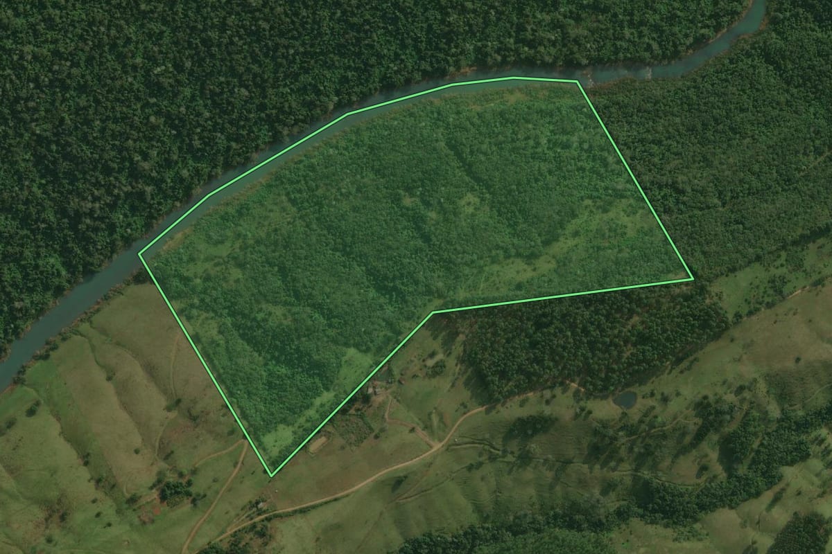 Imagem de satélite do imóvel rural em Bandeirante (SC), com o contorno declarado no CAR desenhado por cima.