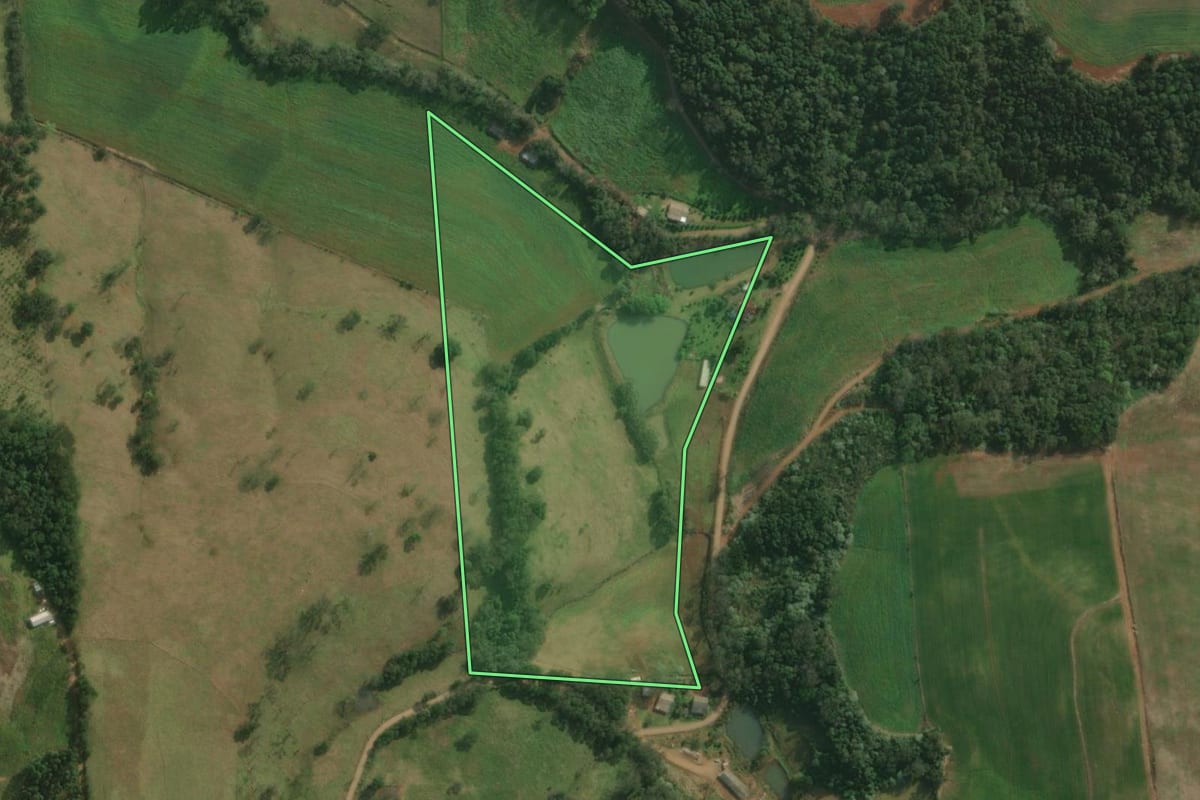 Imagem de satélite do imóvel rural em Bandeirante (SC), com o contorno declarado no CAR desenhado por cima.