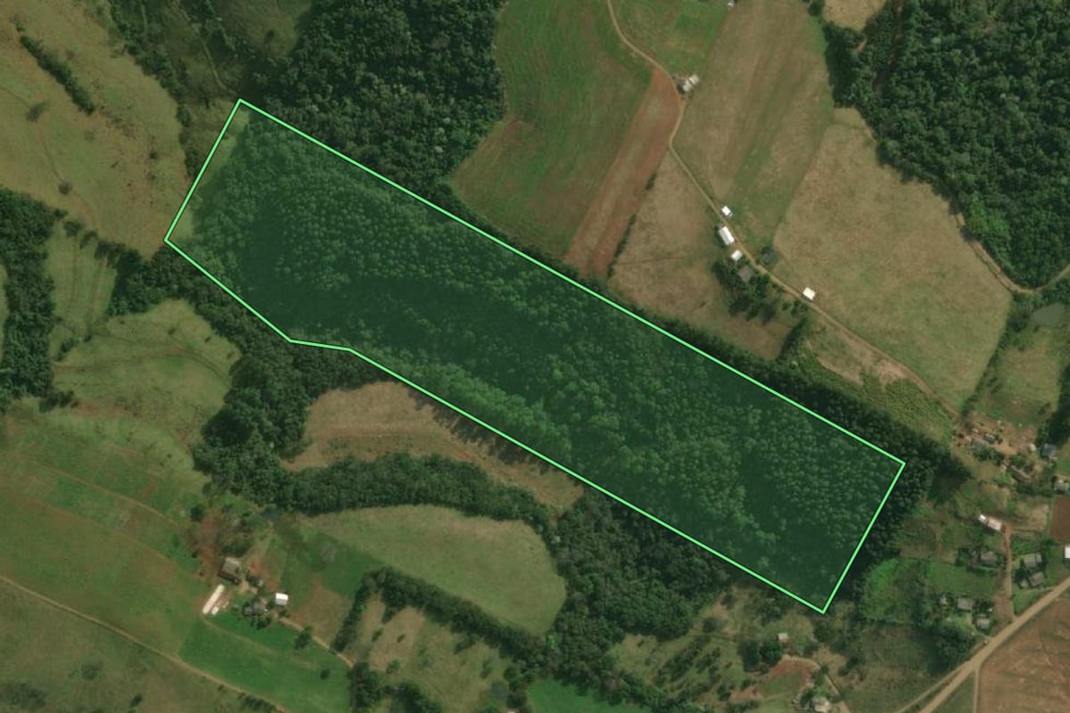 Imagem de satélite do imóvel rural em Bandeirante (SC), com o contorno declarado no CAR desenhado por cima.