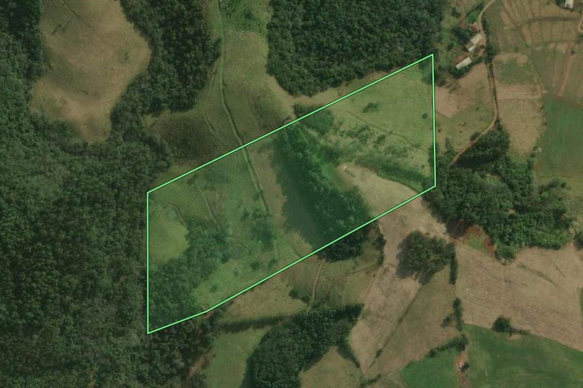 Imagem de satélite do imóvel rural em Bandeirante (SC), com o contorno declarado no CAR desenhado por cima.