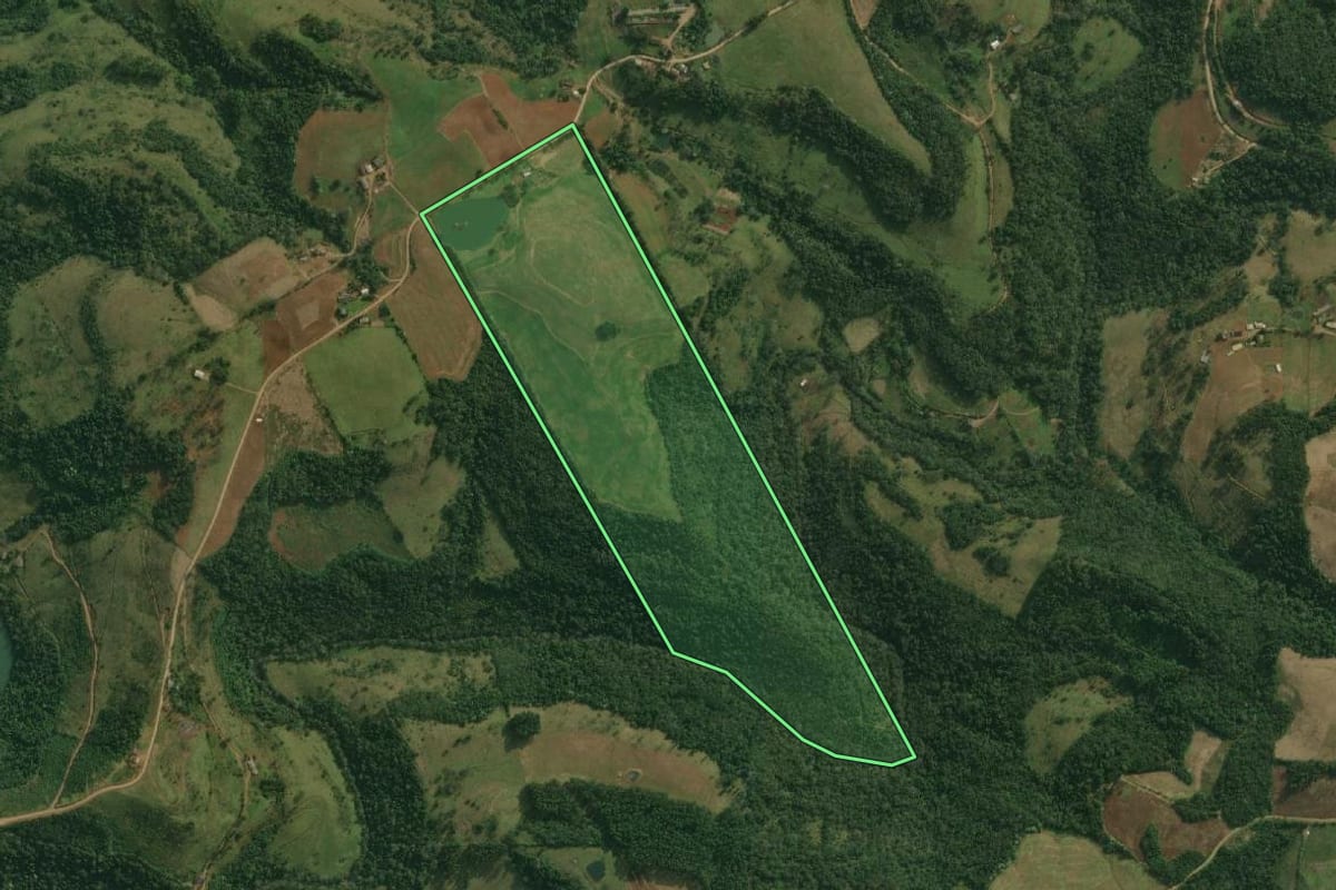 Imagem de satélite do imóvel rural em Bandeirante (SC), com o contorno declarado no CAR desenhado por cima.