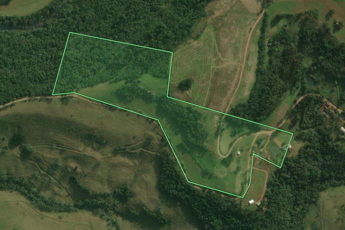Imagem de satélite do imóvel rural em Bandeirante (SC), com o contorno declarado no CAR desenhado por cima.