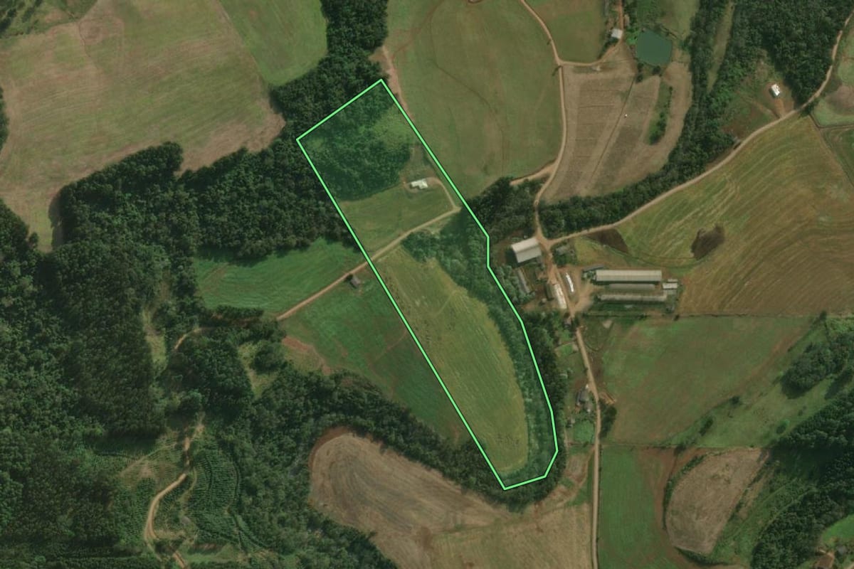 Imagem de satélite do imóvel rural em Bandeirante (SC), com o contorno declarado no CAR desenhado por cima.