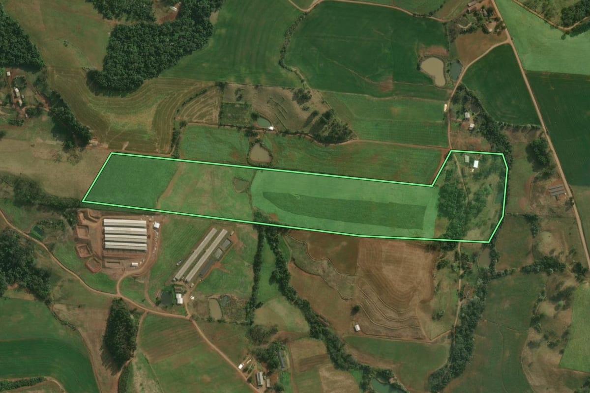 Imagem de satélite do imóvel rural em Bandeirante (SC), com o contorno declarado no CAR desenhado por cima.