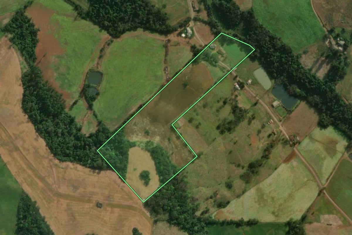 Imagem de satélite do imóvel rural em Bandeirante (SC), com o contorno declarado no CAR desenhado por cima.