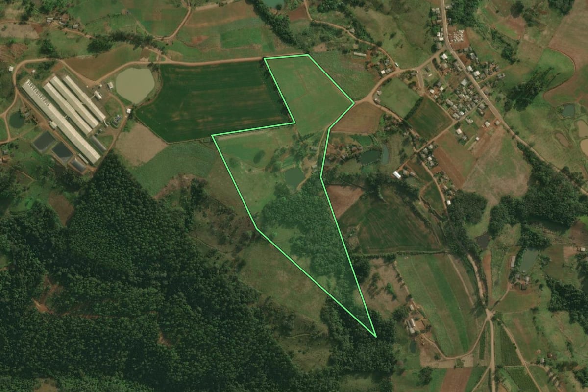 Imagem de satélite do imóvel rural em Bandeirante (SC), com o contorno declarado no CAR desenhado por cima.