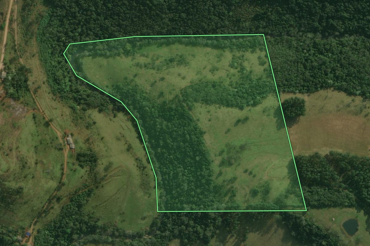 Imagem de satélite do imóvel rural em Bandeirante (SC), com o contorno declarado no CAR desenhado por cima.
