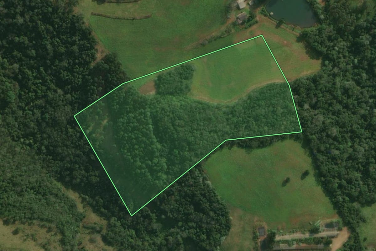 Imagem de satélite do imóvel rural em Bandeirante (SC), com o contorno declarado no CAR desenhado por cima.