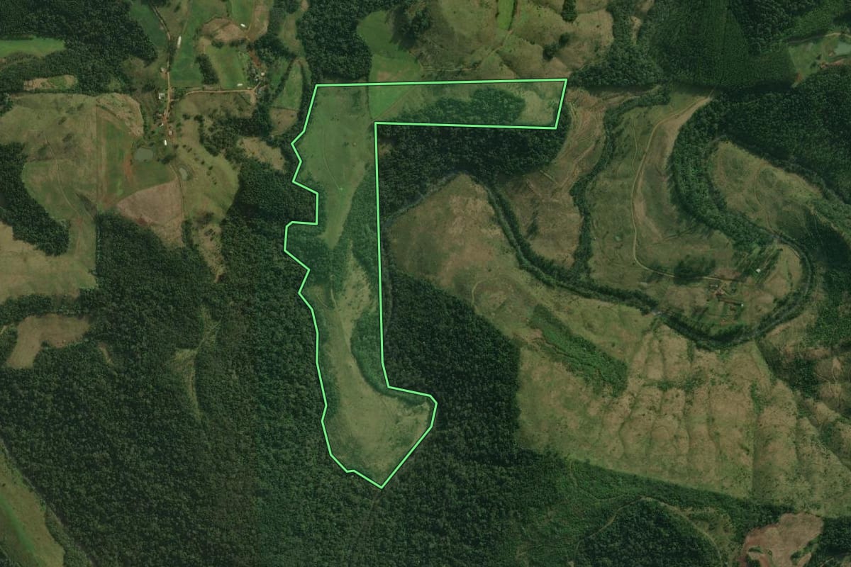 Imagem de satélite do imóvel rural em Bandeirante (SC), com o contorno declarado no CAR desenhado por cima.