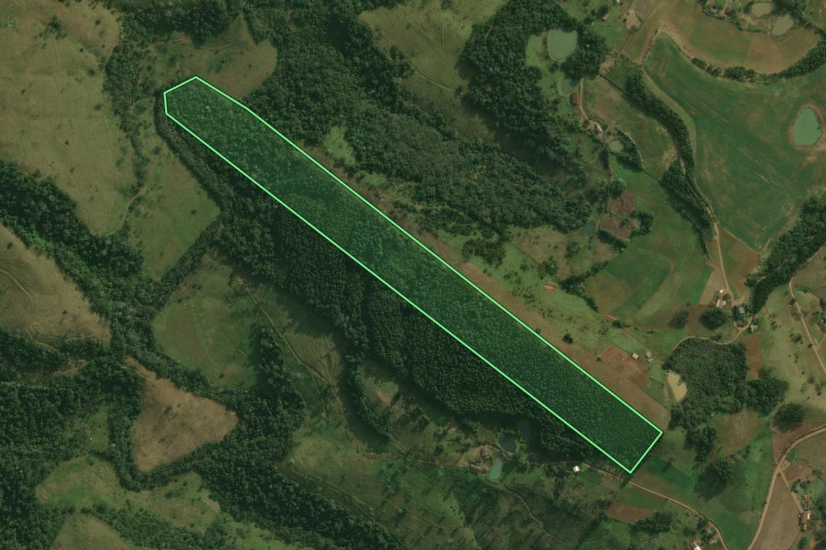 Imagem de satélite do imóvel rural em Bandeirante (SC), com o contorno declarado no CAR desenhado por cima.