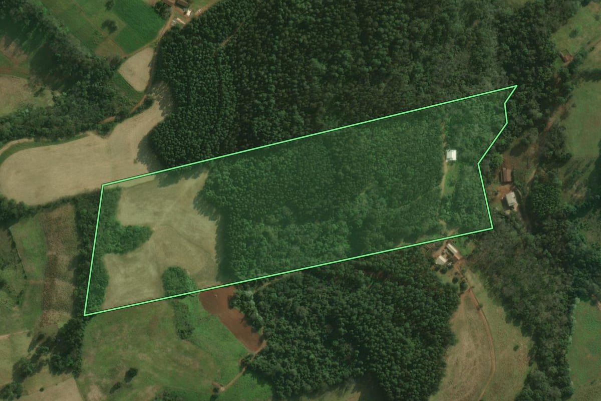 Imagem de satélite do imóvel rural em Bandeirante (SC), com o contorno declarado no CAR desenhado por cima.