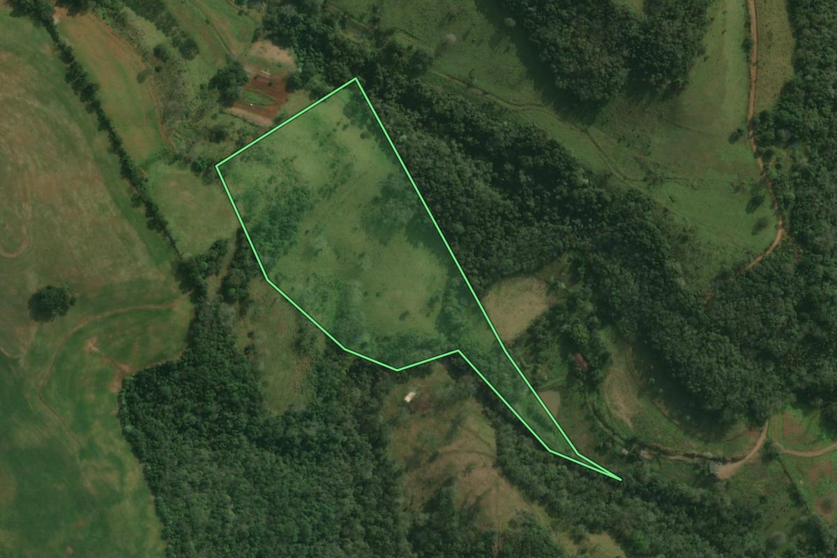 Imagem de satélite do imóvel rural em Bandeirante (SC), com o contorno declarado no CAR desenhado por cima.