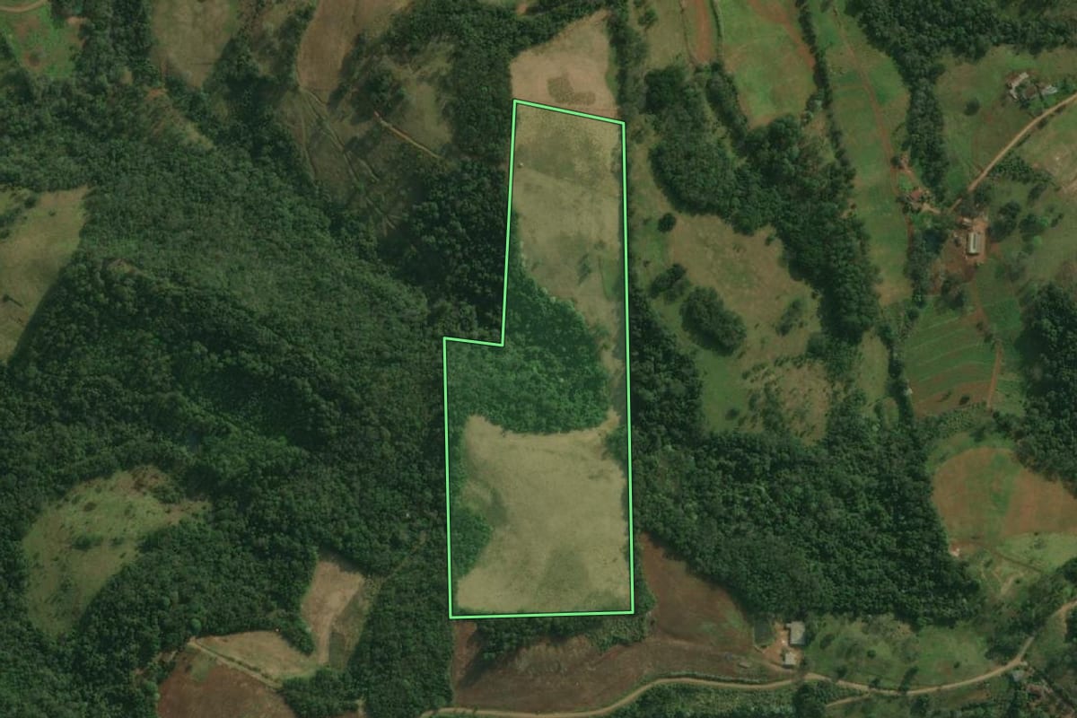 Imagem de satélite do imóvel rural em Bandeirante (SC), com o contorno declarado no CAR desenhado por cima.
