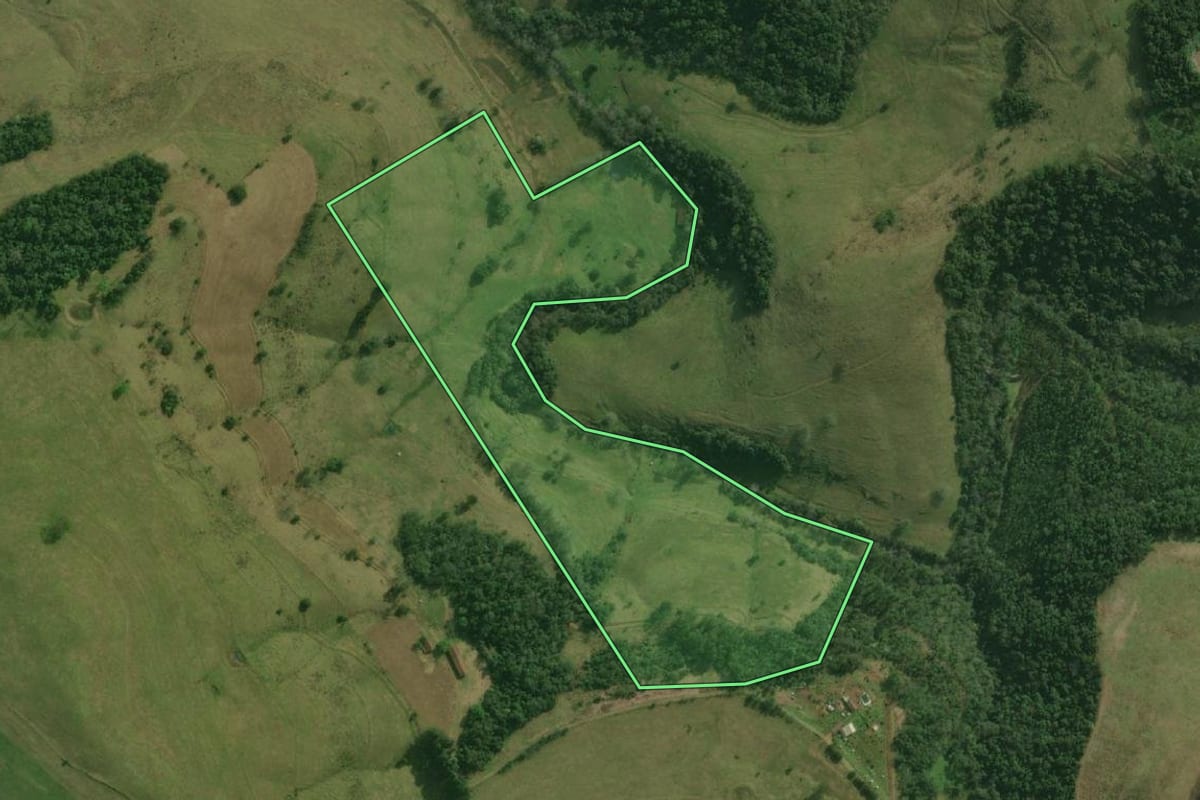 Imagem de satélite do imóvel rural em Bandeirante (SC), com o contorno declarado no CAR desenhado por cima.