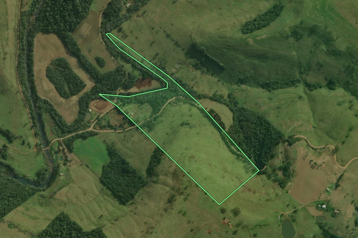 Imagem de satélite do imóvel rural em Bandeirante (SC), com o contorno declarado no CAR desenhado por cima.
