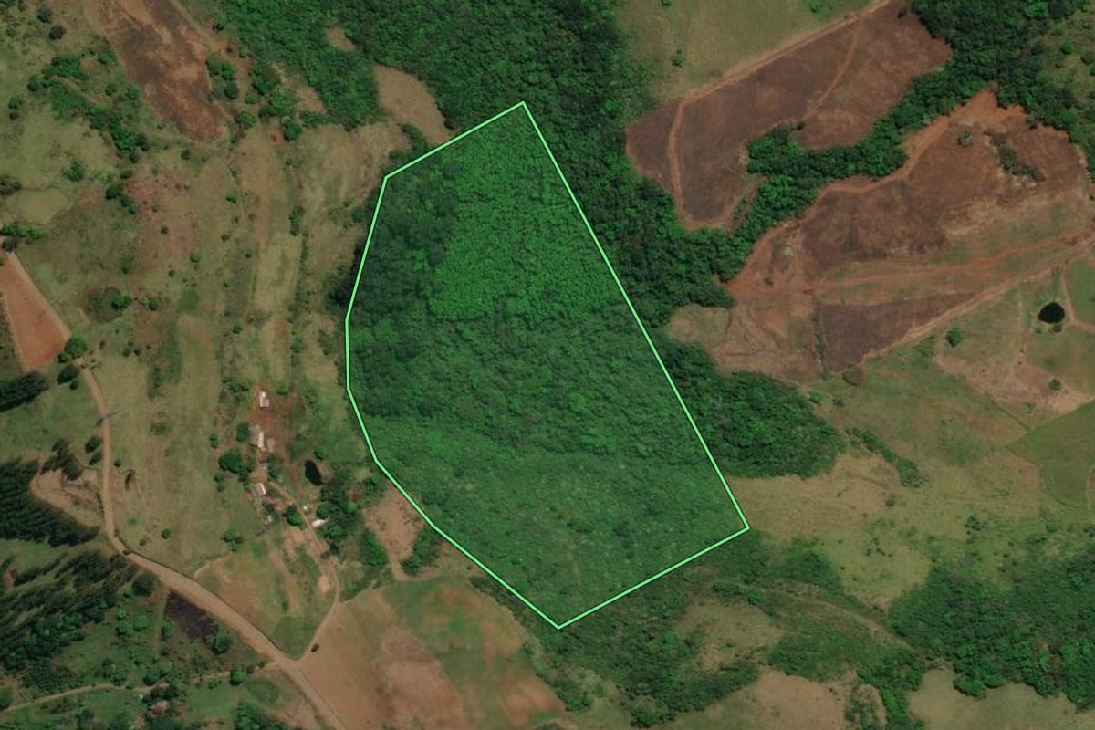 Imagem de satélite do imóvel rural em Barra Bonita (SC), com o contorno declarado no CAR desenhado por cima.