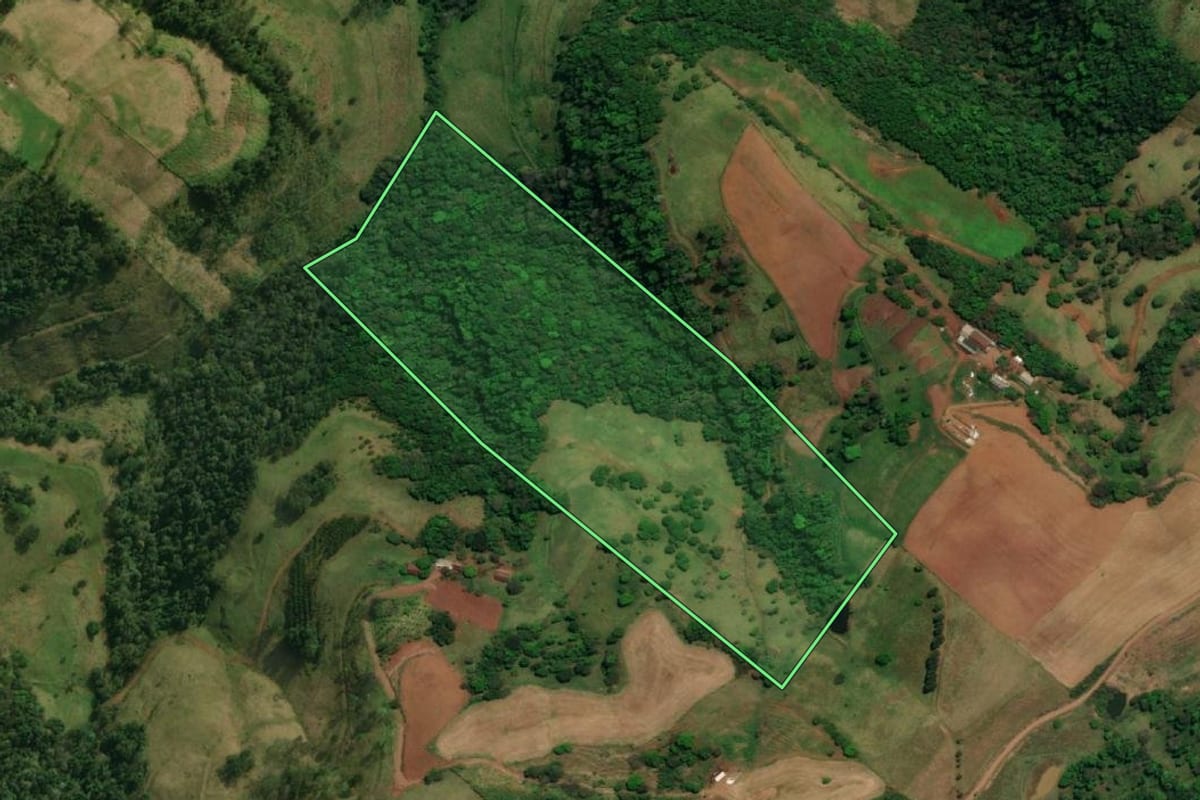 Imagem de satélite do imóvel rural em Barra Bonita (SC), com o contorno declarado no CAR desenhado por cima.