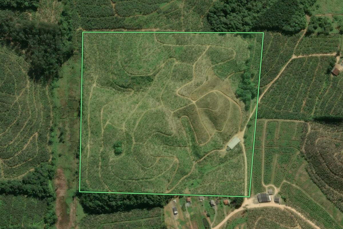 Imagem de satélite do imóvel rural em Barra Velha (SC), com o contorno declarado no CAR desenhado por cima.