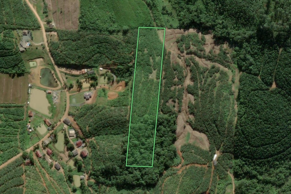 Imagem de satélite do imóvel rural em Barra Velha (SC), com o contorno declarado no CAR desenhado por cima.