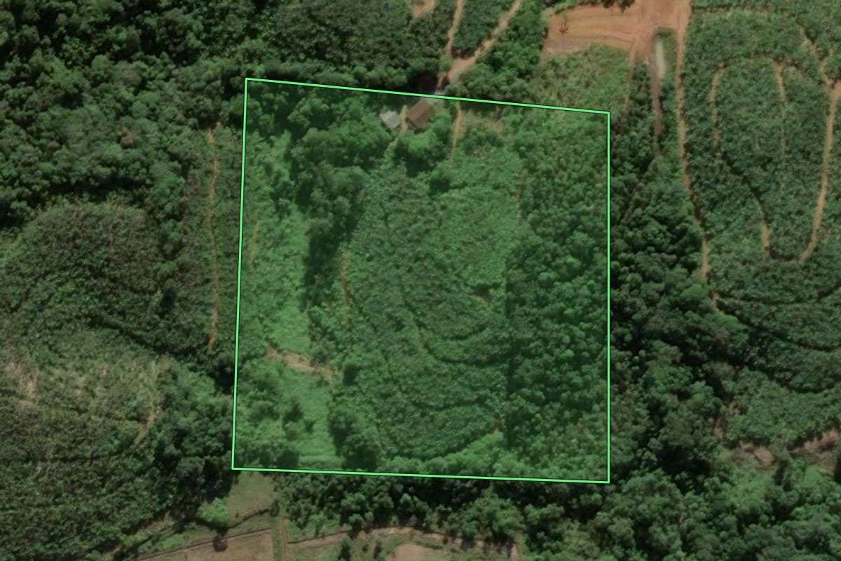 Imagem de satélite do imóvel rural em Barra Velha (SC), com o contorno declarado no CAR desenhado por cima.