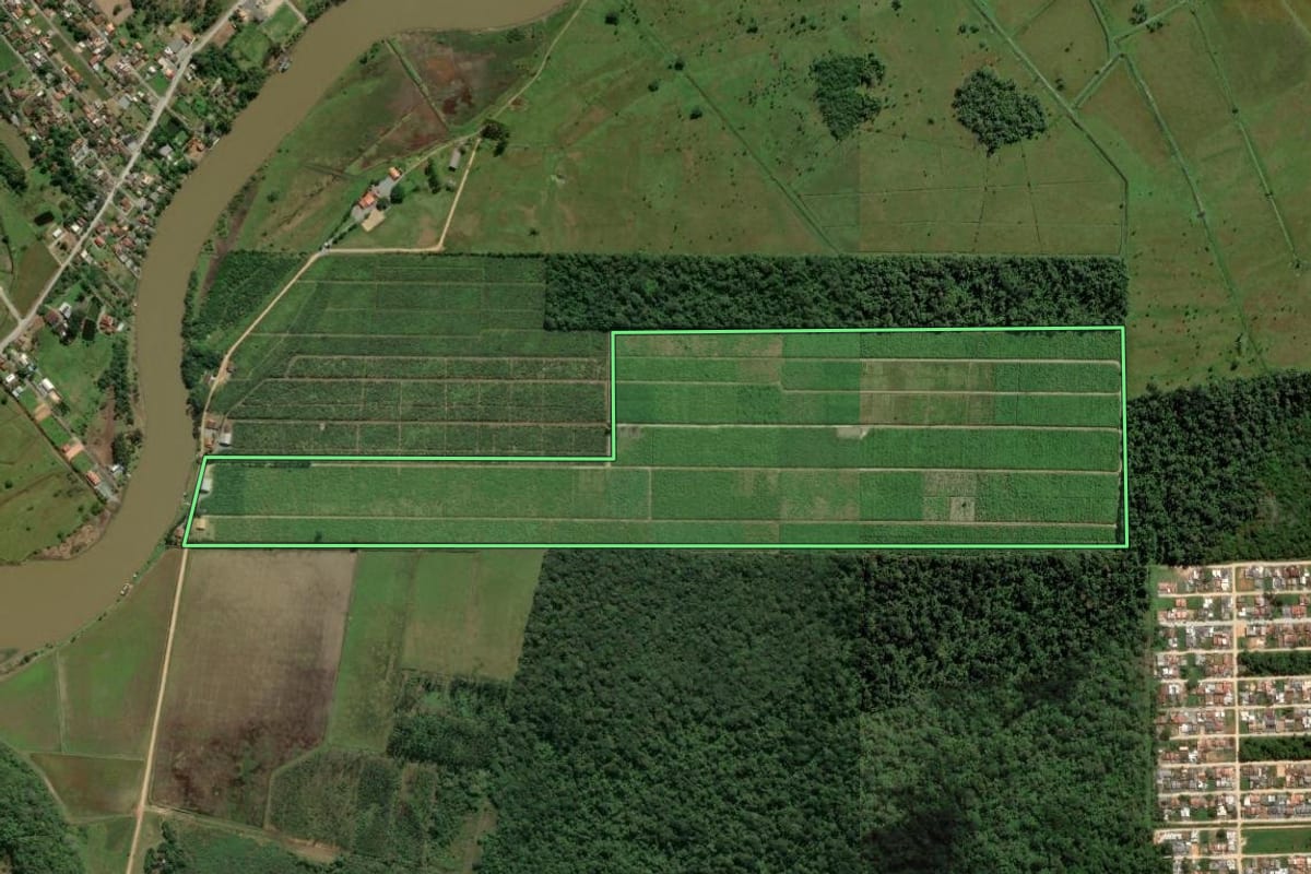 Imagem de satélite do imóvel rural em Barra Velha (SC), com o contorno declarado no CAR desenhado por cima.