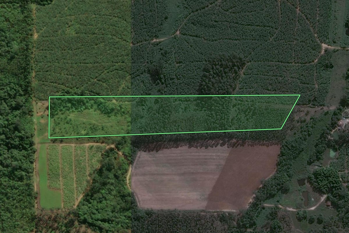 Imagem de satélite do imóvel rural em Barra Velha (SC), com o contorno declarado no CAR desenhado por cima.