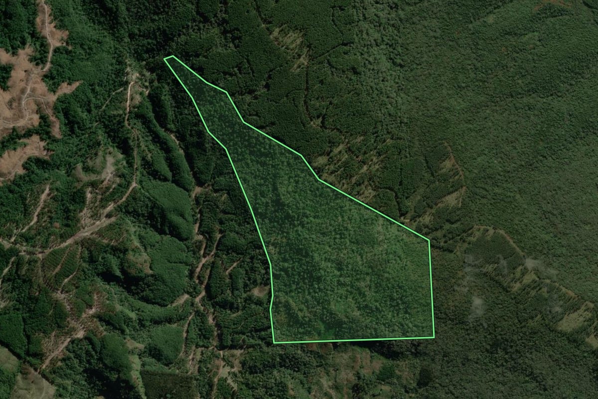 Imagem de satélite do imóvel rural em Bela Vista do Toldo (SC), com o contorno declarado no CAR desenhado por cima.
