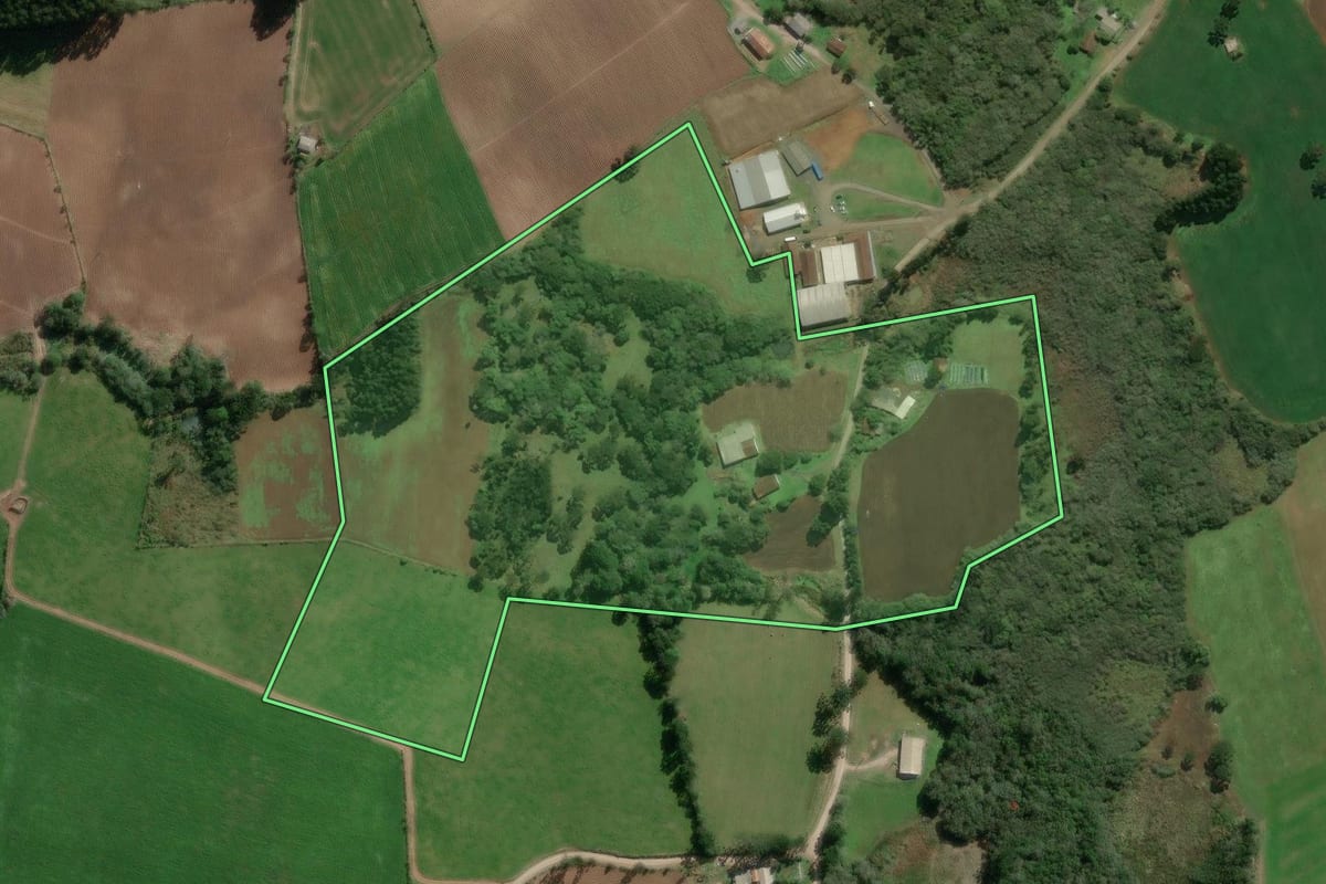 Imagem de satélite do imóvel rural em Bela Vista do Toldo (SC), com o contorno declarado no CAR desenhado por cima.