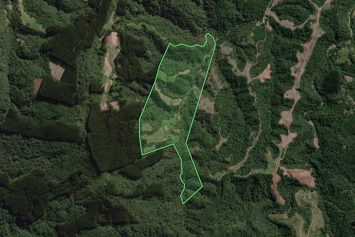 Imagem de satélite do imóvel rural em Bela Vista do Toldo (SC), com o contorno declarado no CAR desenhado por cima.