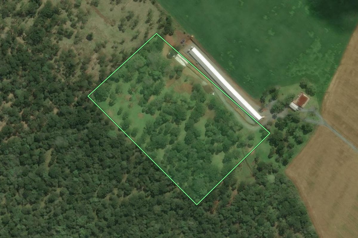 Imagem de satélite do imóvel rural em Bela Vista do Toldo (SC), com o contorno declarado no CAR desenhado por cima.