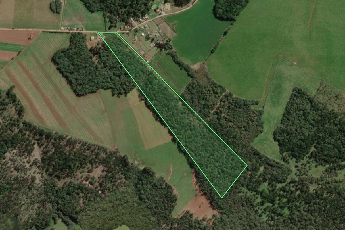 Imagem de satélite do imóvel rural em Bela Vista do Toldo (SC), com o contorno declarado no CAR desenhado por cima.