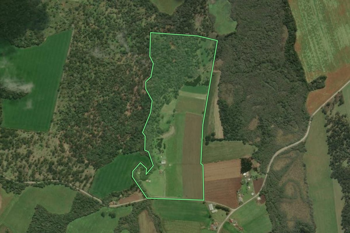 Imagem de satélite do imóvel rural em Bela Vista do Toldo (SC), com o contorno declarado no CAR desenhado por cima.