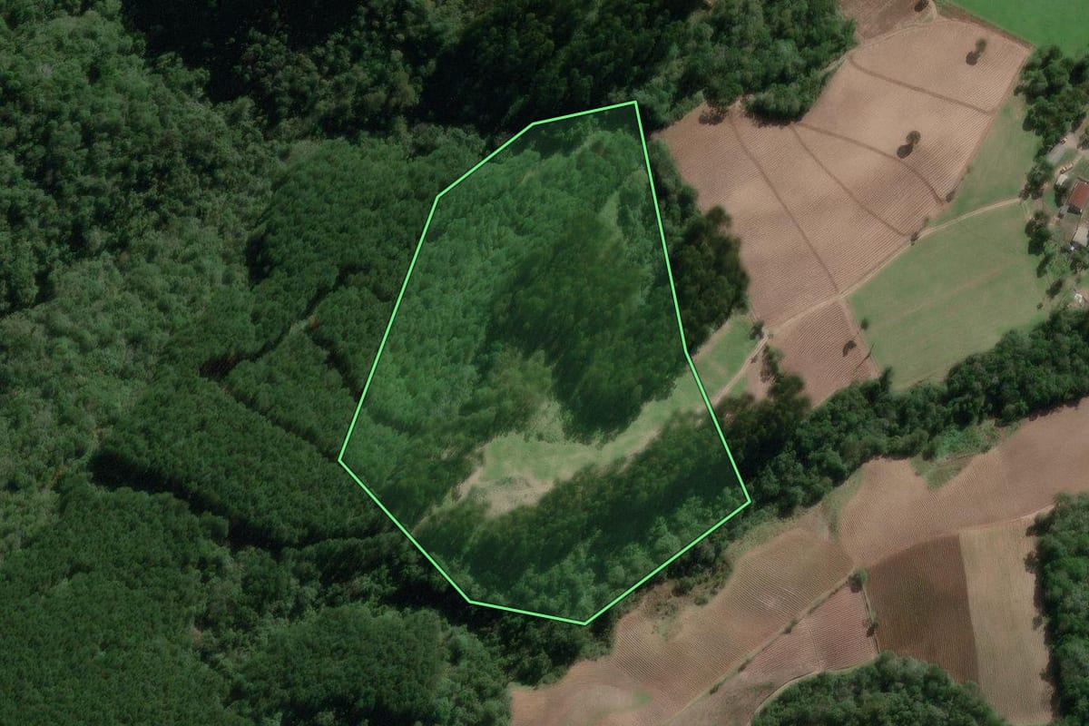 Imagem de satélite do imóvel rural em Bela Vista do Toldo (SC), com o contorno declarado no CAR desenhado por cima.