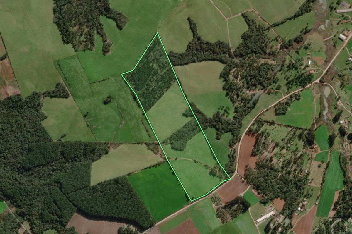 Imagem de satélite do imóvel rural em Bela Vista do Toldo (SC), com o contorno declarado no CAR desenhado por cima.