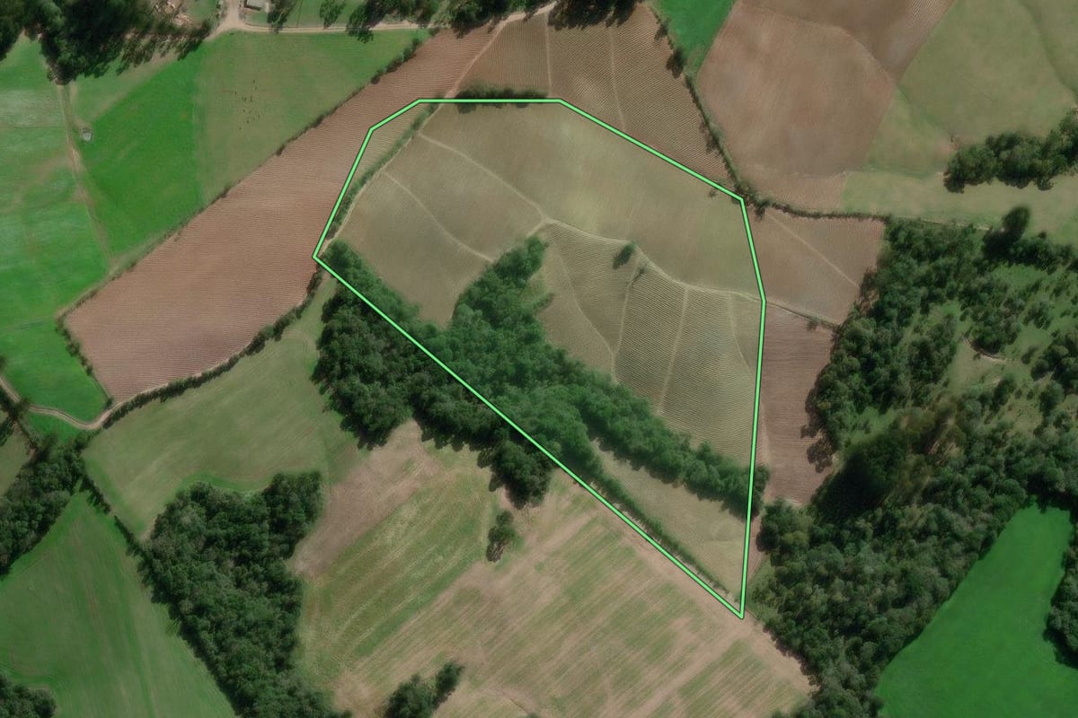 Imagem de satélite do imóvel rural em Bela Vista do Toldo (SC), com o contorno declarado no CAR desenhado por cima.